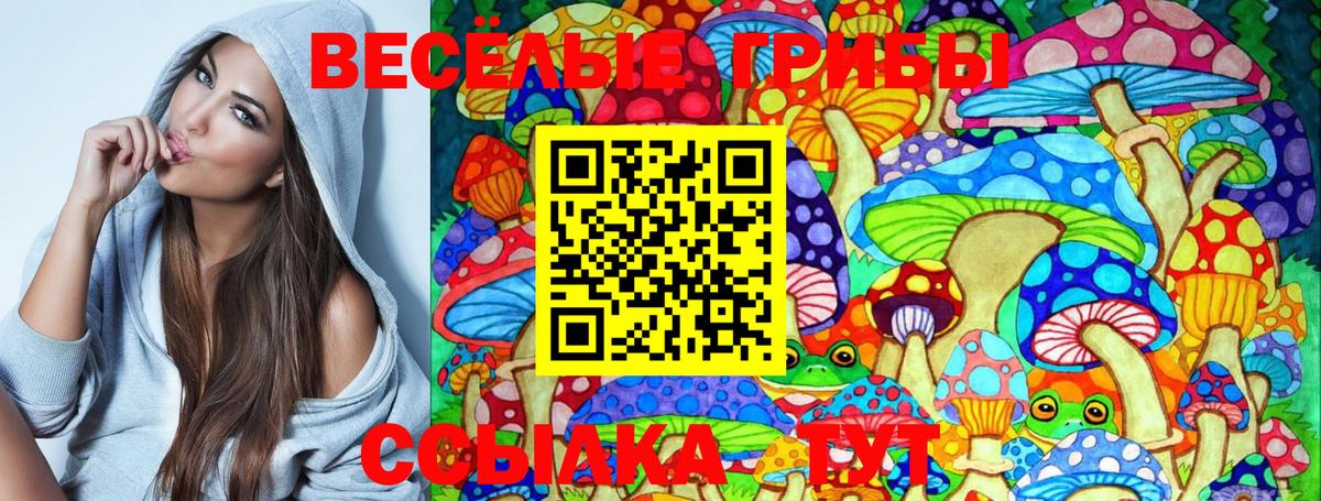 Галлюциногенные грибы Cubensis Артём